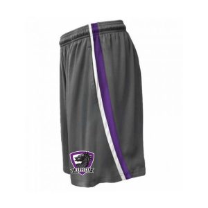 Dragons Lacrosse Team Practice Short in Grey