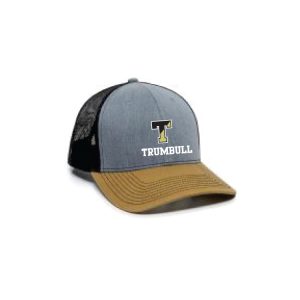 Trumbull Trucker Hat In Grey/Gold/Black