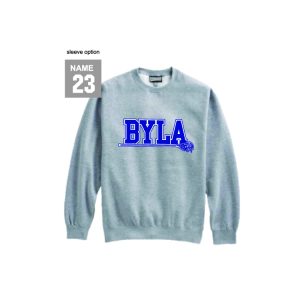 BYLA Heavyweight Crew Neck Sweatshirt in Grey