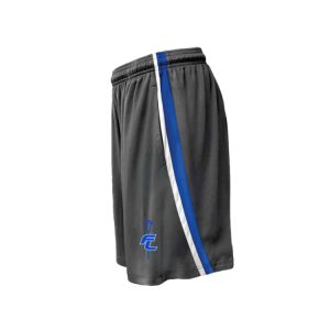 Ludlowe Falcons Lacrosse Practice Shorts in Grey with Stripe