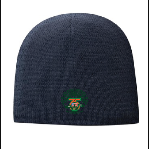 GAC 75th Anniversary LINED Winter Beanie in Navy