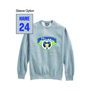 Carolina Hilltoppers Heavyweight Crew Neck Sweatshirt in Grey
