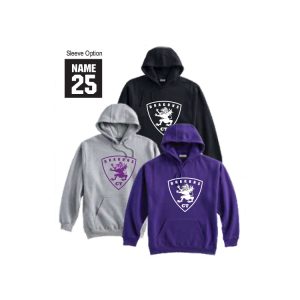 **NEW Color/Logo**Dragons Lacrosse Heavyweight Cotton Hoody in Purple OR Grey OR Black